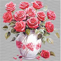 Valentine's Day-QRJ  4138